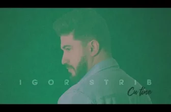Igor Strib – In mintea mea (Original Radio Edit)