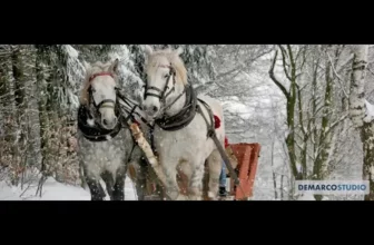 DEMARCO – Din an in an (COLINDE 2020)