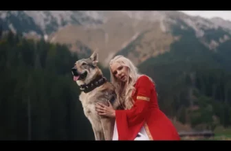 Sandra N – Spirit de dac