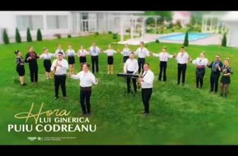 Puiu Codreanu – Hora lui Ginerica