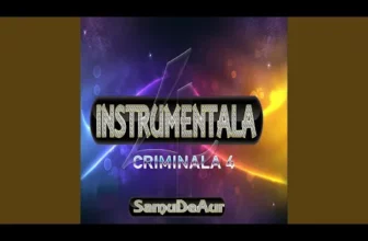 Instrumentala Criminala 4