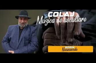 Cele mai ascultate melodii de muzica populara 2024 SORIN NECUNOSCUTU