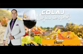 Mixaj – Muzica de Petrecere 2024 Colaj Super MIHAI PRIESCU
