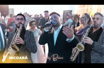 Fane Banateanu & Armin Nicoara si Petrica Nicoara – Colaj Brauri