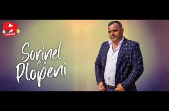 Muzica de Petrecere 2024 Muzica Noua 2024 de Petrecere