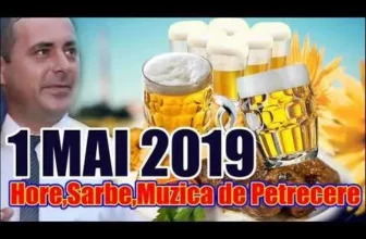 MUZICA DE PETRECERE SARBE SI HORE PENTRU TOTI ROMANII COLAJ 2019
