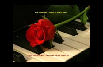 UN TRANDAFIR CRESTE LA FIRIDA MEANEW style – Gigel Oprea