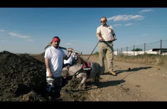 Baboi – Cu ce am gresit (Original Radio Edit)