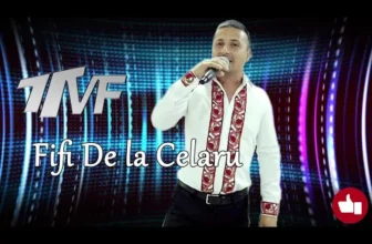 Fifi De la Celaru – Muzica de petrecere 2020 – Colaj muzica populara de petrecere Sarbe si Hore