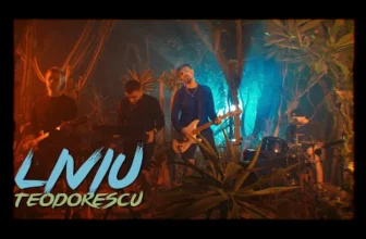 Liviu Teodorescu – Lacrimile (Original Radio Edit)