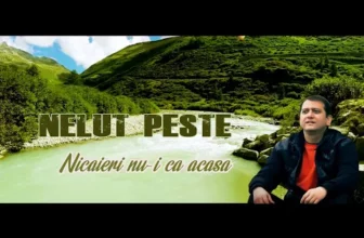 NELUT PESTE – NICAIERI NU-I CA ACASA …2020