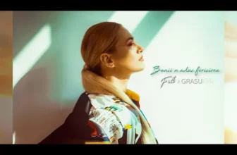 Feli feat. Grasu XXL – Banii n-aduc fericirea (Original Radio Edit)