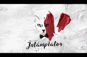 The Motans – Intamplator (Original Radio Edit)