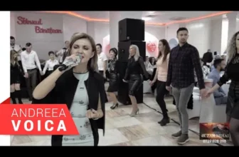 Andreea Voica si formatia Deian Galetin