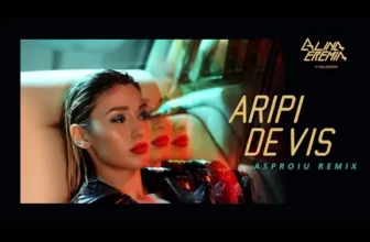 Alina Eremia – Aripi De Vis (Asproiu Remix)