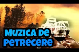 NOU 2020 – Colaj muzica de Petrecere 2020