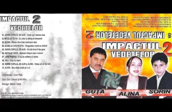 Impactul vedetelor 2 (2004)