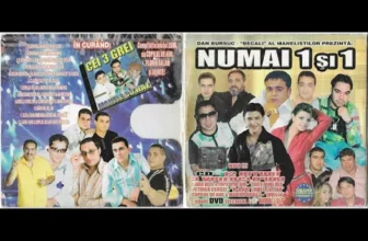 Numai 1 si 1 (2005)