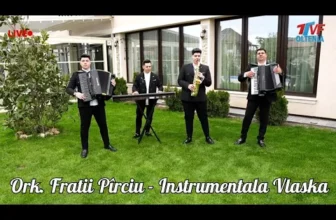 Ork. Fratii Pirciu – Instrumentala VLASKA Sarbeasca – LIVE