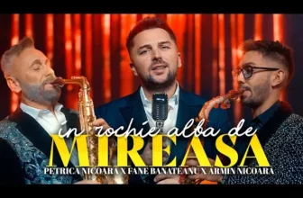 Fane Banateanu si Armin Nicoara – In rochie alba de mireasa (Petrica Nicoara)