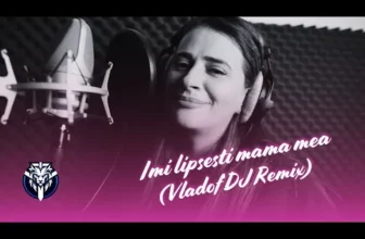 Ioana – Imi lipsesti mama mea (Vladof DJ Remix)