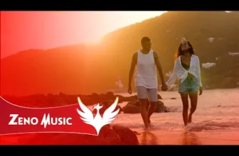 Zeno Music x COCO – 2 Nebuni cu acte