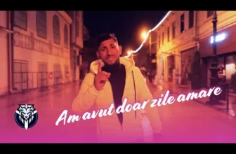 Abel Mocanu – Am avut doar zile amare