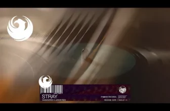 SamMaverick Feat. Junior Paes – Stray