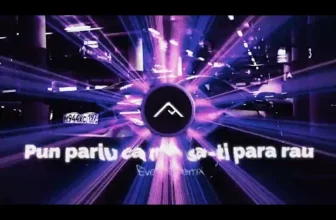 Guta si Play Aj – Pun pariu ca n- o sa-ti para rau (Everest Remix)