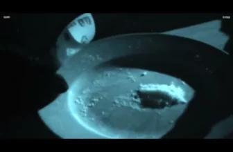 Solomon – Prozac