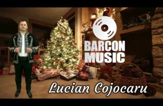 SARBA SOFERILOR – LUCIAN COJOCARU (Cele mai bune Sarbe de SOFERI LIVE 2025)