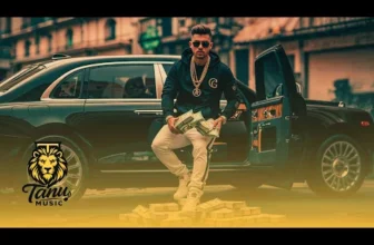 Mity de la Slatina – Avioane de verzisori