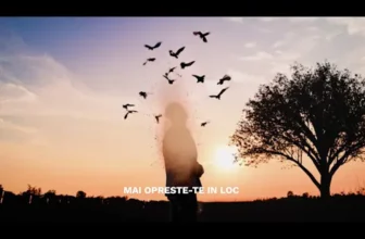 NIKOLAS – MAI OPRESTE-TE IN LOC