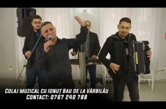 MUZICA DE PETRECERE – Colaj Joc 2025