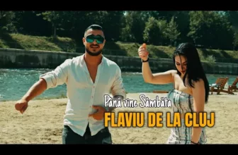 Flaviu de la Cluj – Pana vine Sambata