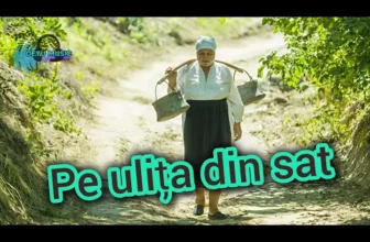 Deyu Music – Pe ulita din sat