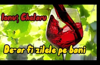 Ionut Chelaru – De-ar fi zilele pe bani