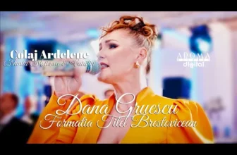 Dana Gruescu & Formatia Titel Brestovicean – Colaj Ardelene