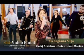 Georgiana Vita – Colaj Ardelene