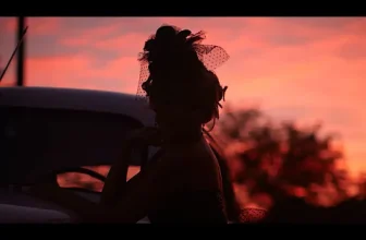 Theo Rose, Denisa, Nicolae Guta, Adrian Minune – Doar tu meritai (Everest & DEEJAY KILLER)