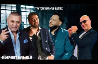 Leo De La Rosiori, Florin Salam, Nicolae Guta – Necazuri fara limite (Everest Tik Tok Remix Mashup)