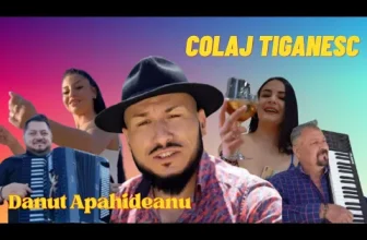 Danut Apahideanu – Colaj jocuri tiganesti