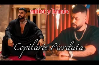 ANTIDOT x HAMUDE – Copilarie Pierduta