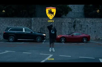 NANE – UITE-L (D.F.D.N)