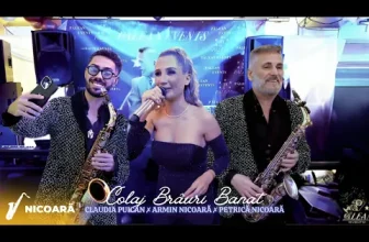 Claudia Puican x Armin Nicoara x Petrica Nicoara – Colaj Brauri Banat