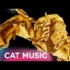 Nikolas Sax si Lele – Mi-ai rupt inima in doua (Originala 2022)