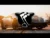 Emin Nilsen – INTERRA (Bass Boosted)
