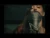 EMAA – Razna (Live Session)