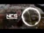 PLEEG – Alive