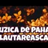 NICOLAE GUTA – Sunt mereu trist (Originala 2020)
